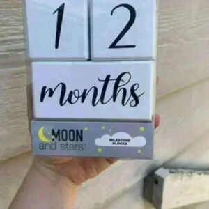 Milestone Blocks NEW